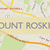 MOUNT ROSKILL // WHY SHOULD I VOTE FOR YOU?